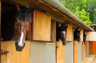 free Cwmtillery stable construction quotes